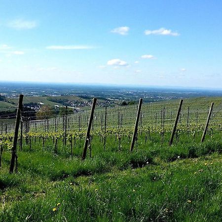 Ferienhof Vordere Alm Oberkirch  Ngoại thất bức ảnh