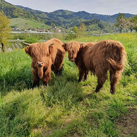 Ferienhof Vordere Alm Oberkirch  Ngoại thất bức ảnh