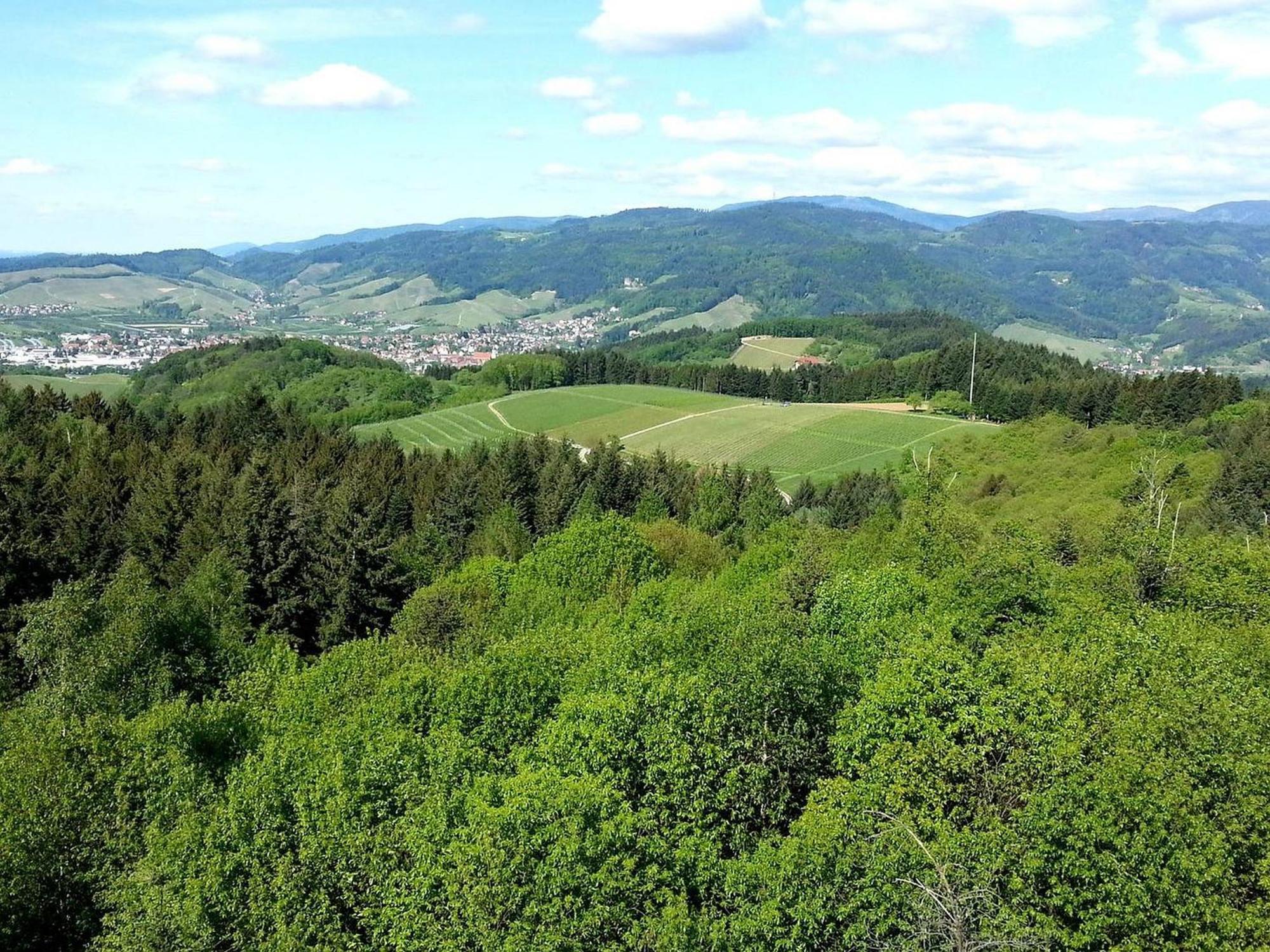 Ferienhof Vordere Alm Oberkirch  Ngoại thất bức ảnh
