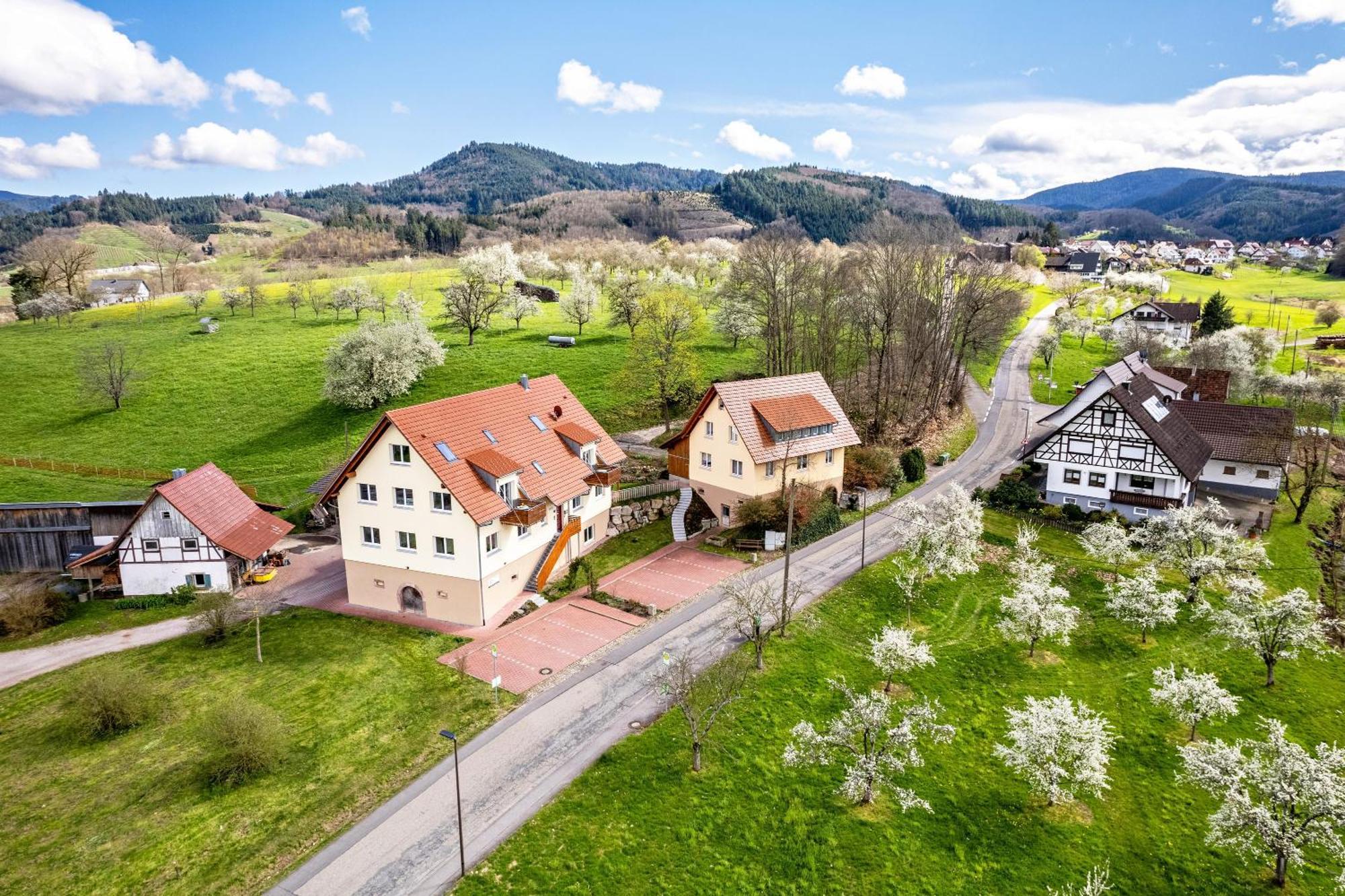 Ferienhof Vordere Alm Oberkirch  Ngoại thất bức ảnh