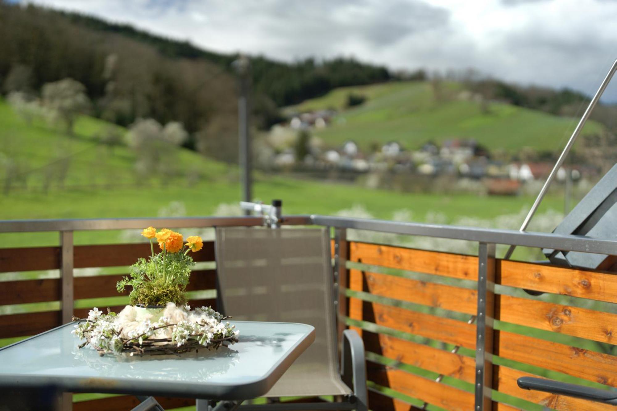 Ferienhof Vordere Alm Oberkirch  Ngoại thất bức ảnh
